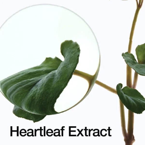 Jabón Heartleaf Pore Control Cleansing Oil 200ml ANUA