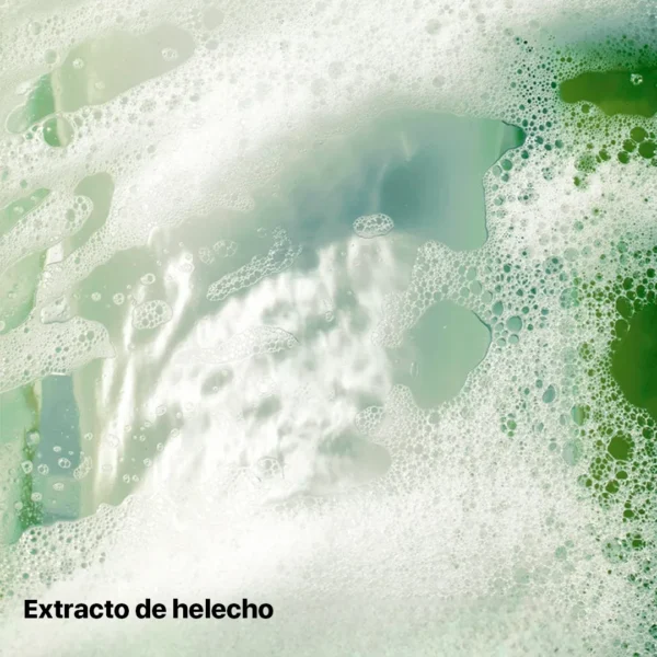 Jabón Heartleaf Quercetinol Pore Deep Cleansing Foam 150 ml ANUA